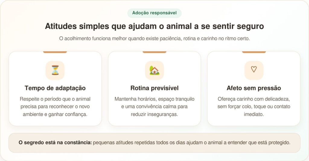 Após anos trancado, cachorro surpreende por continuar tão amoroso