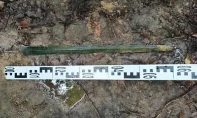 O que uma espada milenar fazia cravada no chão de uma floresta? O achado de 60 centímetros intriga arqueólogos e pode revelar uma prática esquecida há séculos