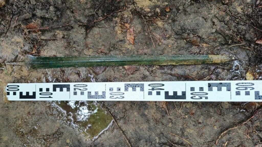 Homem usa detector de metais em uma floresta e encontra uma espada de bronze de 2.700 anos fincada no solo