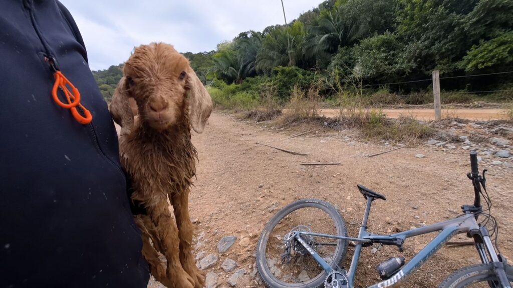Ciclista ouve choro durante treino nas montanhas e encontra bebê coberto de lama
