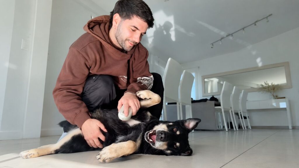 Cachorro aparece todos os dias na porta do vizinho após descobrir o que ele faz da vida