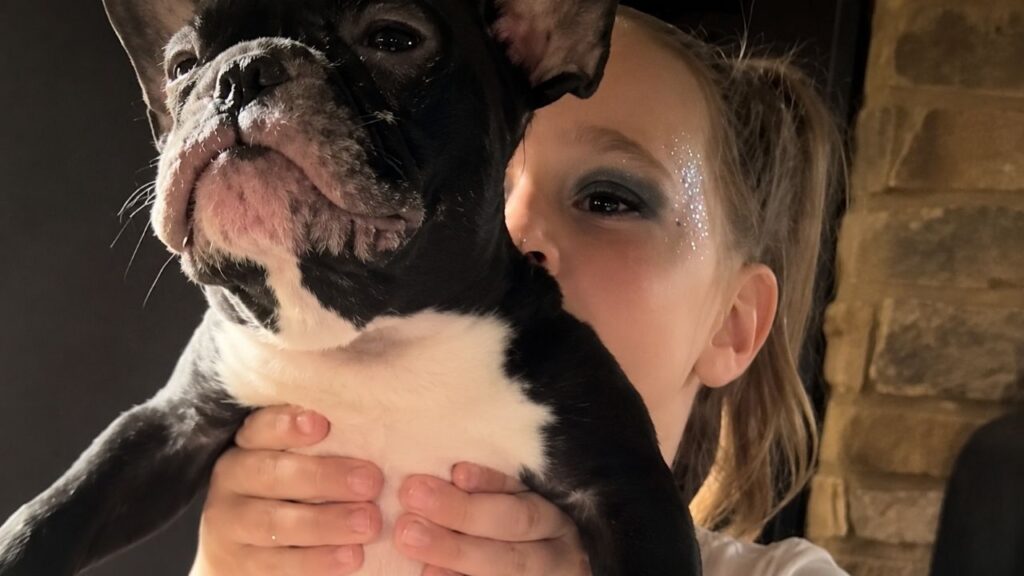 Criador abandona Bulldog Francês na estrada após acreditar que ele era contagioso