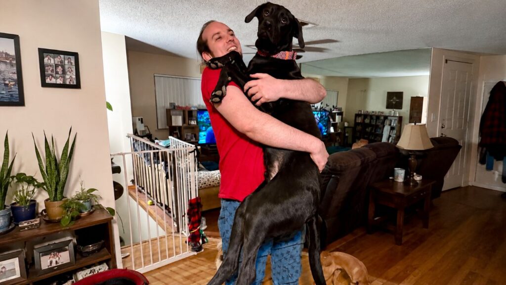 Ela pensou ter adotado um filhote de labrador, mas o teste de DNA revelou uma raça rara