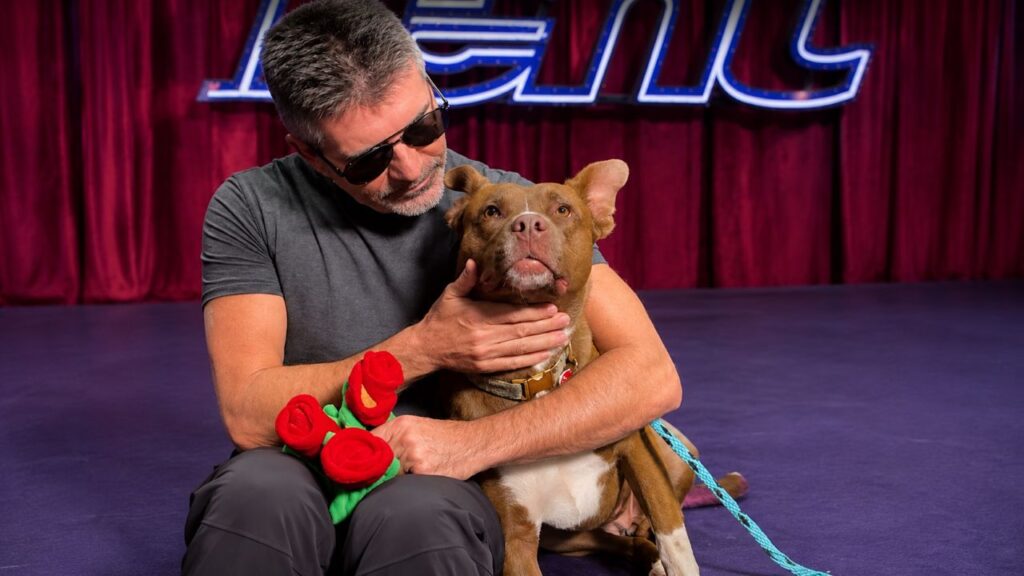 Simon Cowell passeia com pitbull resgatado pelos bastidores do AGT