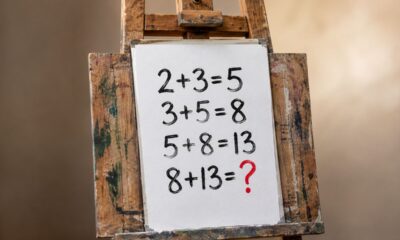 Parece fácil, mas só 3 em cada 10 pessoas acertam o próximo número da sequência 2, 3, 5, 8, 13