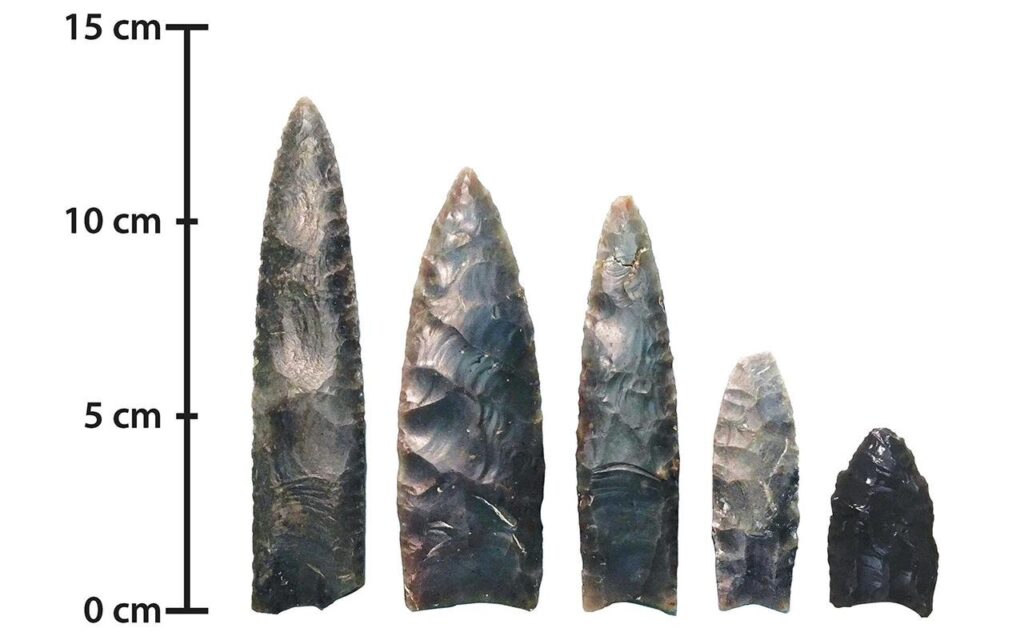 As primeiras sociedades pré-históricas caçavam mamutes ou aproveitavam animais já encontrados sem vida? Evidências arqueológicas mudam o debate