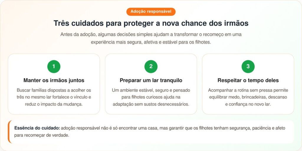 Socorrista encontra mochila de plástico exposta ao sol e descobre que ela não estava vazia