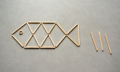 Peixe montado com palitos de madeira sobre uma superfície cinza lisa, apontado para a esquerda, com três palitos separados ao lado direito indicando as peças que serão movidas no desafio.