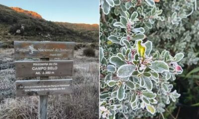 Placa do Parque Nacional do Itatiaia em paisagem coberta de geada e folhas congeladas