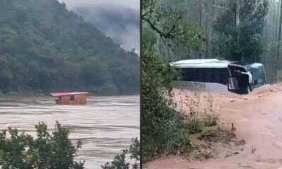 Casa de madeira flutuando em rio e ônibus "CZERWINSKI" submerso em enchente com árvores