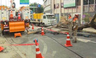 Trabalhadores perto de árvore caída, poste, fios, cones e fita 'PERIGO AFASTE-S' na rua