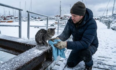 Homem alérgico a gatos salva filhote e se torna protetor de gatos