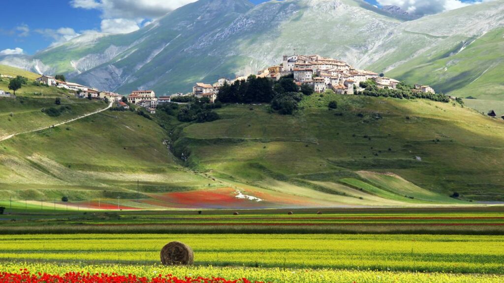 Todo verão, um pequeno vilarejo italiano parece uma pintura graças a uma leguminosa e encanta com paisagens únicas quase irreais