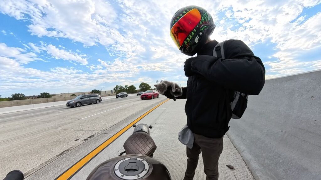 Motociclista para na rodovia ao notar que “lixo” na pista estava respirando