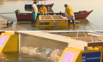 Como o novo coletor da UFRJ limpa a Baía de Guanabara e ainda gera renda extra para os pescadores locais