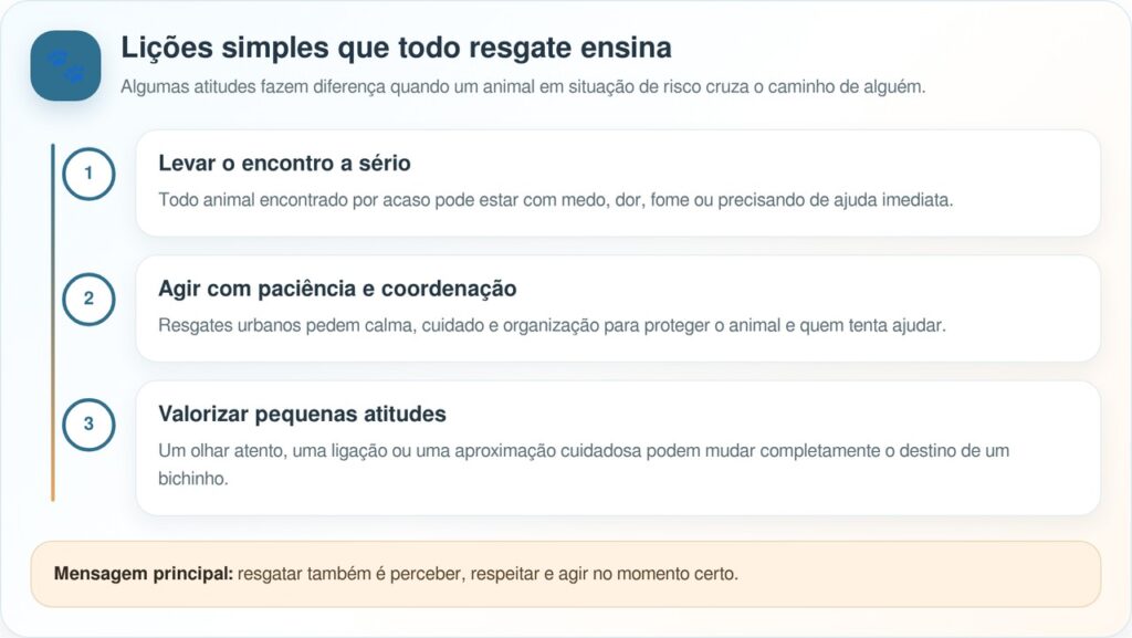 Fãs de futebol acham alguém fofo escondido no meio de festa para assistir ao jogo