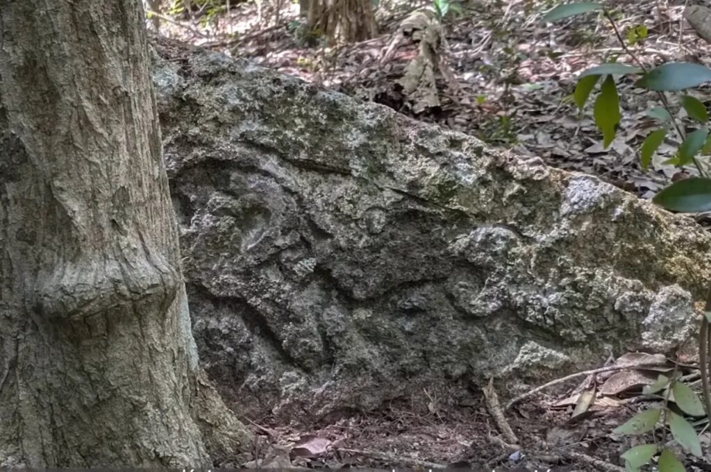 Cidade perdida dos maias reaparece após mais de mil anos escondida na floresta