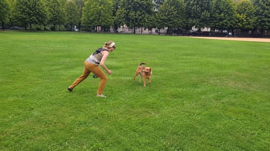 Mulher larga o emprego para passar mais tempo com seu cachorro e vê sua vida mudar completamente