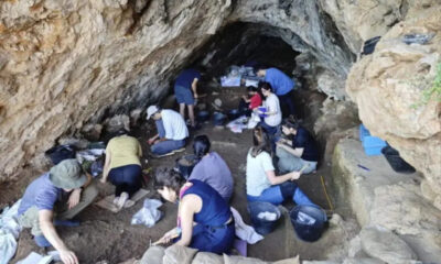 Neandertais e Homo sapiens podem ter compartilhado cultura por 20 mil anos