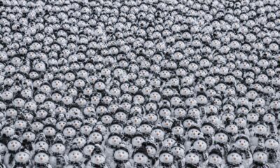 Multidão de bonecos de neve com gorros e cachecóis escuros, entre os quais há um único panda parcialmente camuflado.