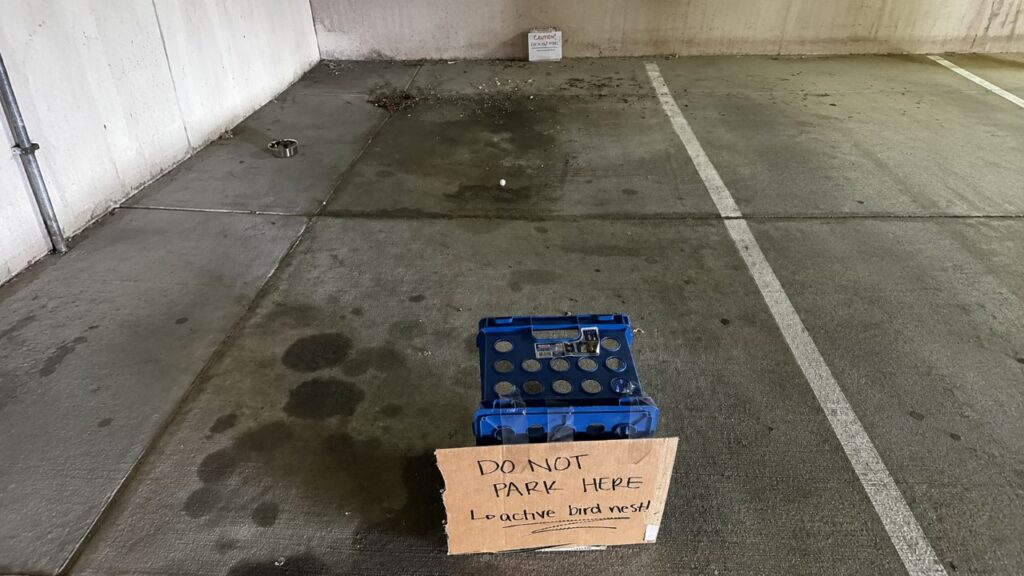 Mulher estranha vaga de estacionamento bloqueada com placas até descobrir o motivo
