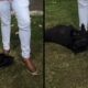 Homem de calça clara e sapatos marrons com cachorro preto interagindo na grama