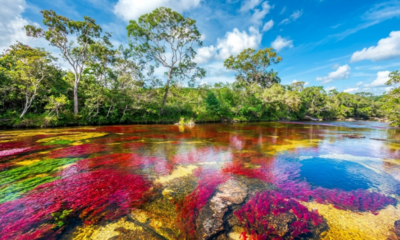 Onde um rio ganha 5 cores: vermelho, amarelo, azul, verde e preto, em um fenômeno que só aparece entre junho e novembro