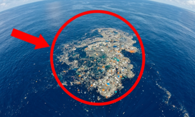 Uma ilha de lixo no Oceano Pacífico já é três vezes maior que a França e continua crescendo, preocupando ambientalistas