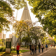 A cidade mais arborizada do Brasil que une planejamento urbano, universidades e qualidade de vida no interior do Paraná