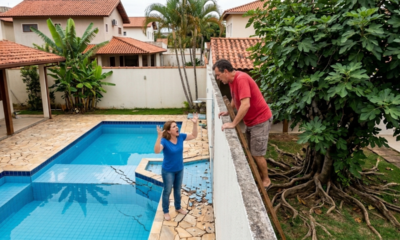 Vizinho planta árvore de grande porte, raízes racham piscina de luxo e dono da planta é forçado a pagar R$ 80 mil de reforma
