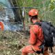 Três bombeiros em floresta densa inspecionam destroços queimados de helicóptero com fumaça
