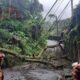 Bombeiros em uniforme laranja observam árvore caída sobre estrada com fiação e vegetação densa