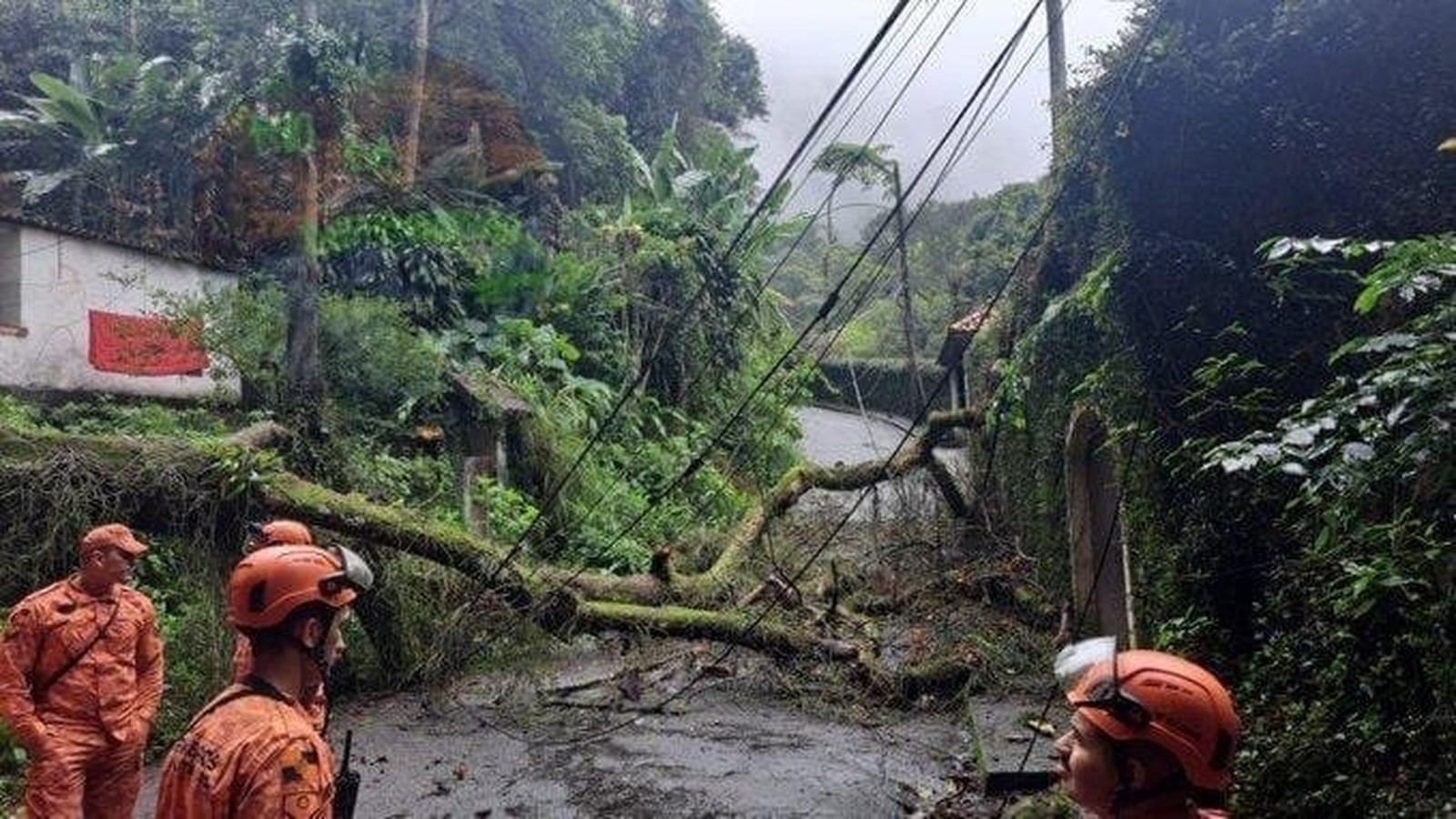 Bombeiros em uniforme laranja observam árvore caída sobre estrada com fiação e vegetação densa