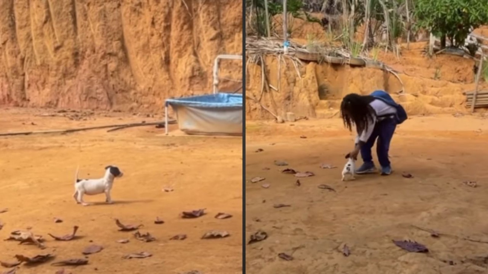 Pessoa se abaixa para acariciar pequeno cachorro em solo terroso, com parede de terra e piscina