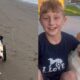 Cão em cadeira de rodas na praia e menino sorrindo ao lado de cão com tag SANDY