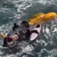 Pessoa em wetsuit na água com equipamento branco e objeto laranja flutuando