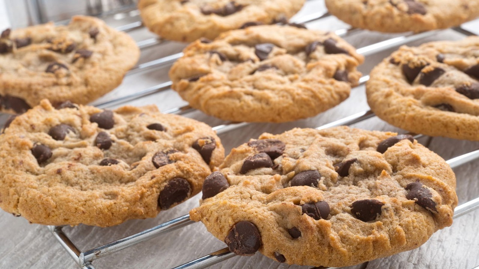 Chocolate chip cookies frescos em uma grade de resfriamento