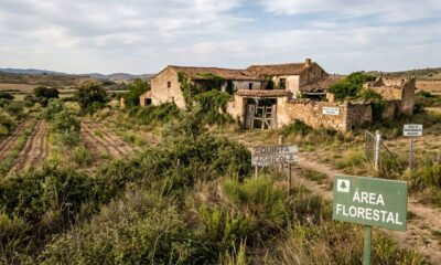 É oficial: uma fazenda abandonada pode ser legalmente considerada área florestal