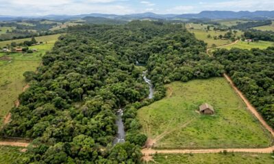 Herdeiro recebe terreno rural de 12 hectares avaliado em R$ 600 mil, contrata projeto para construir a casa da família e descobre que 80% da área está em preservação permanente e nada pode ser erguido ali