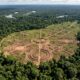 Centenas de construções ocultas pela floresta amazônica são encontradas por pesquisadores e revelam uma civilização muito maior do que se imaginava