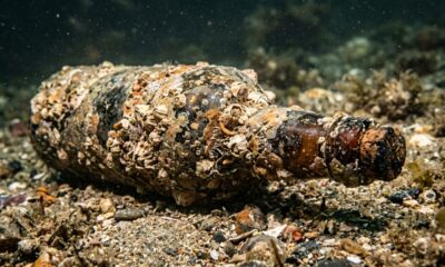 Uma garrafa de cerveja ficou no fundo do mar por 160 anos e reapareceu como uma cápsula do tempo quase intacta