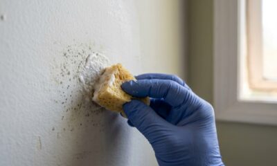Sem água sanitária nem vinagre: a mistura com bicarbonato e água oxigenada que ajuda a tirar o mofo da parede sem agredir a pintura