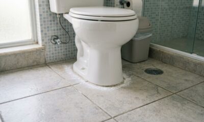 Colocar uma fina camada de bicarbonato em volta do vaso sanitário por algumas horas: entenda para que serve e quais cuidados tomar