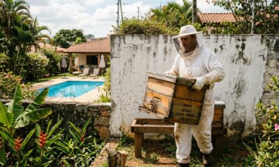 Morador cria abelhas no quintal para vender mel, o enxame passa a frequentar a piscina do vizinho e o apicultor descobre que existe uma distância mínima prevista em lei municipal
