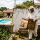 Morador cria abelhas no quintal para vender mel, o enxame passa a frequentar a piscina do vizinho e o apicultor descobre que existe uma distância mínima prevista em lei municipal