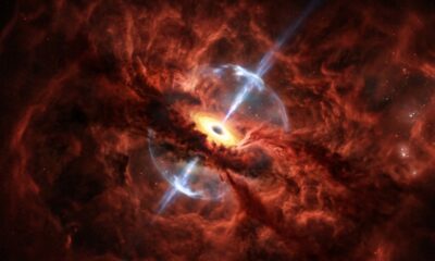 Cientistas descobrem “estrela de buraco negro” que pode mudar a forma como entendemos os primeiros objetos do Universo