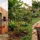 Qual o significado da frase "Não construa uma casa aos 50, não plante uma árvore aos 60 e não costure roupas aos 70"?