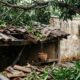 Galhos da mangueira do vizinho avançam 4 metros sobre o quintal, quebram telhas durante uma chuva forte e geram conflito sobre poda e indenização
