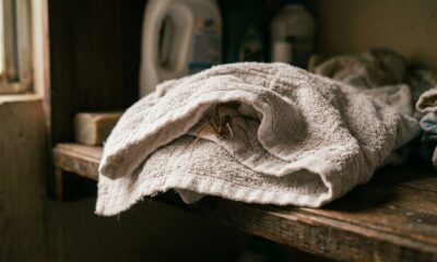 Aranhas-marrons se escondem em toalhas, cortinas e trás de quadros durante o inverno; ambientes pouco movimentados e roupas guardadas favorecem a permanência