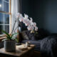 Cultivo da orquídea borboleta: por que a ciência recomenda ter essa flor elegante no quarto para gerar oxigênio puro durante a madrugada